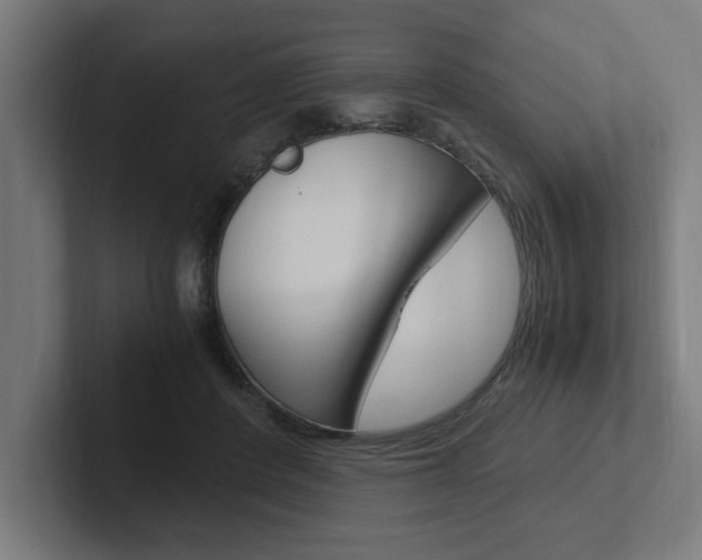 X0000102390408200808010938