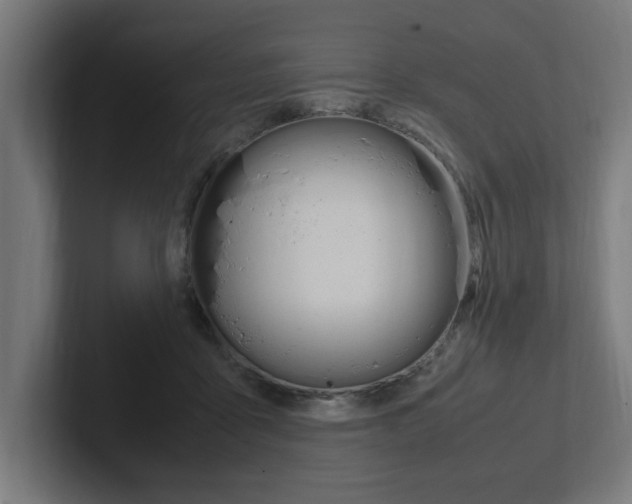 X0000102390411200808010938