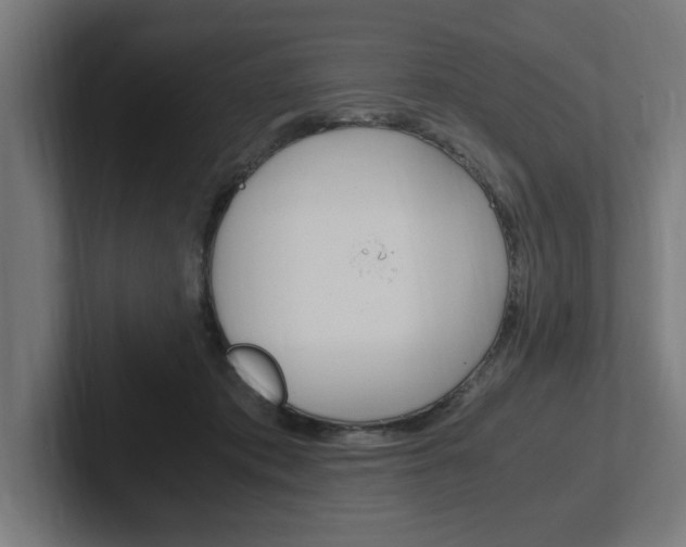 X0000102390413200808010938