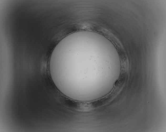 X0000102390415200808010938