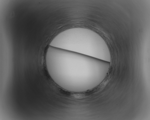 X0000102390417200808010938