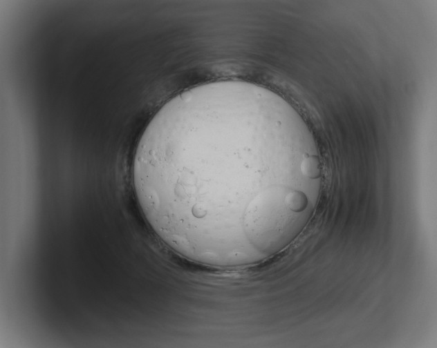 X0000102390418200808010938