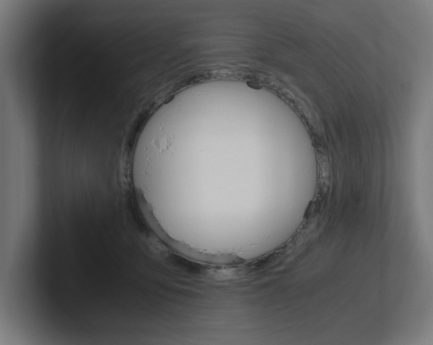 X0000102390419200808010938
