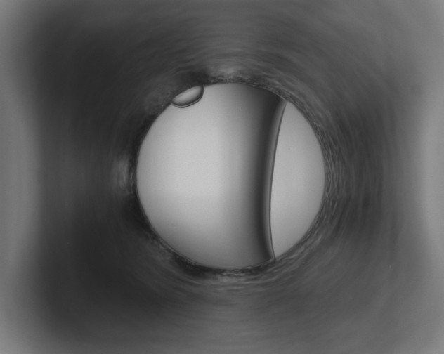 X0000102390420200808010938