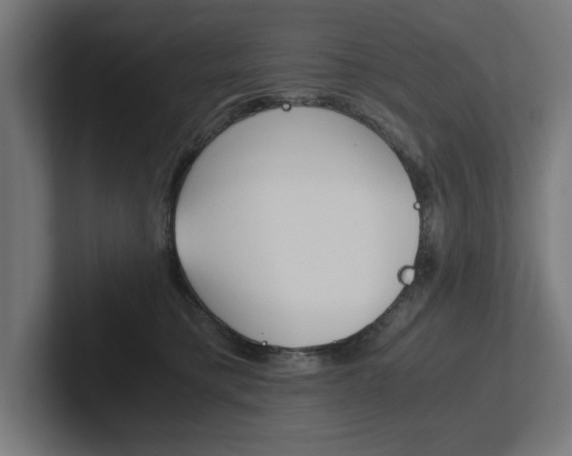 X0000102390421200808010938