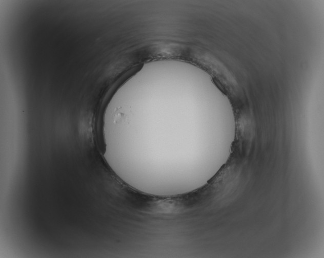 X0000102390423200808010938