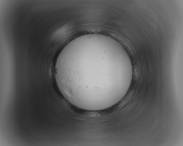 X0000102390424200808010938