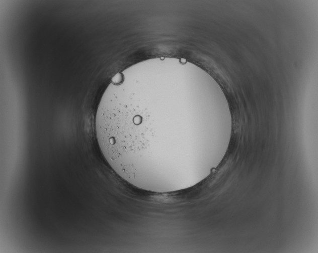 X0000102390425200808010938