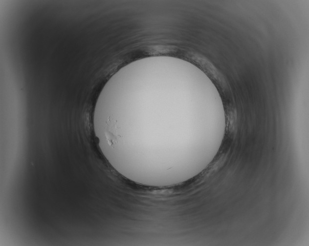 X0000102390426200808010938