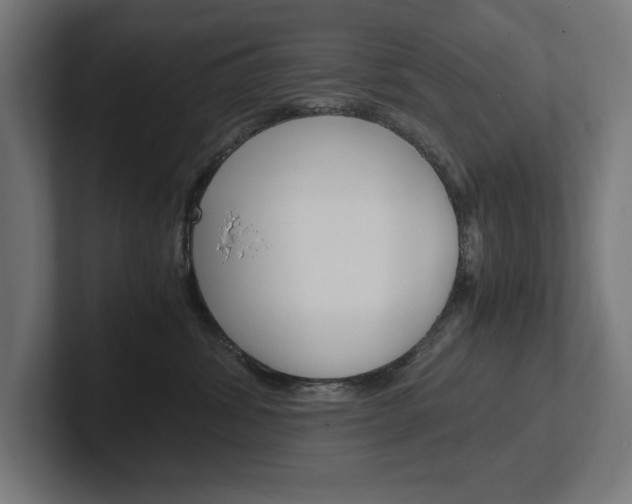 X0000102390428200808010938