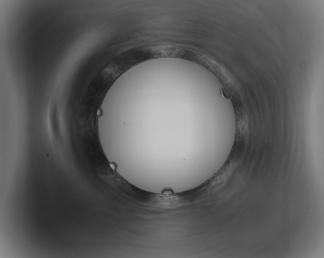 X0000102390429200808010938