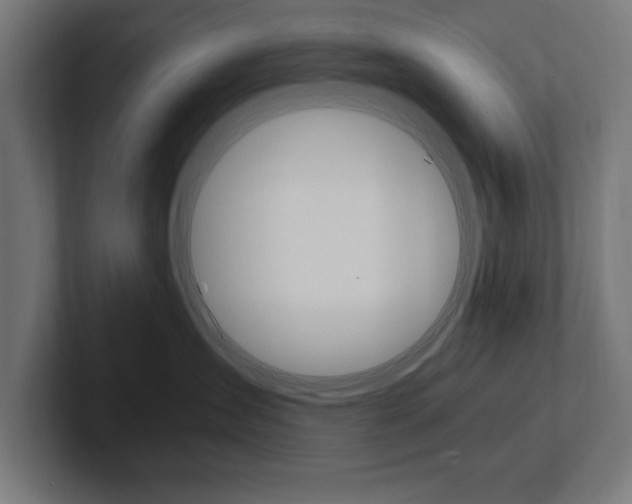 X0000102390431200808010938