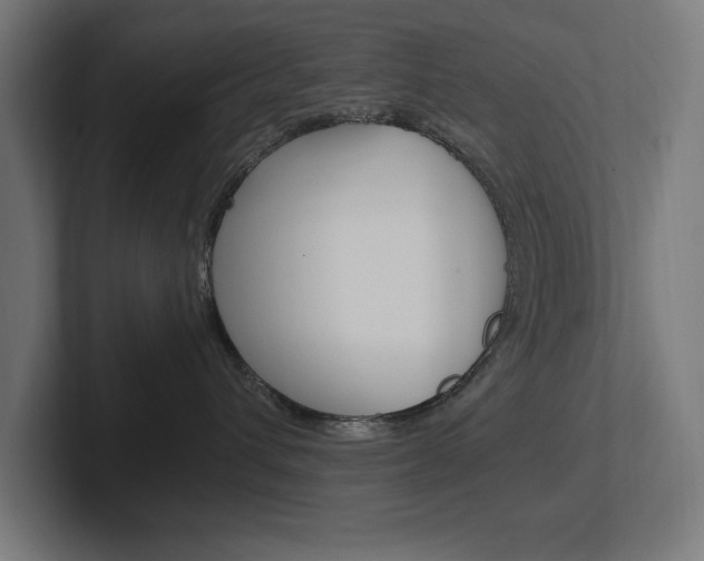 X0000102390432200808010938