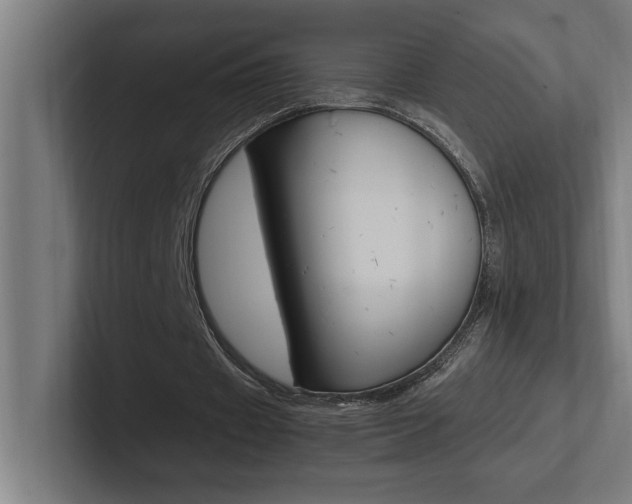 X0000102390433200808010938
