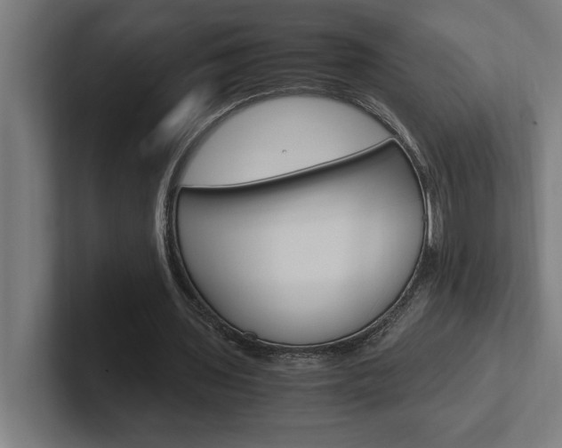 X0000102390435200808010938