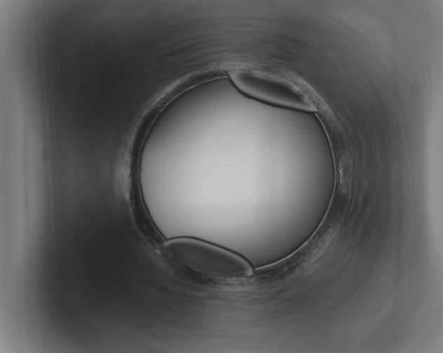 X0000102390436200808010938