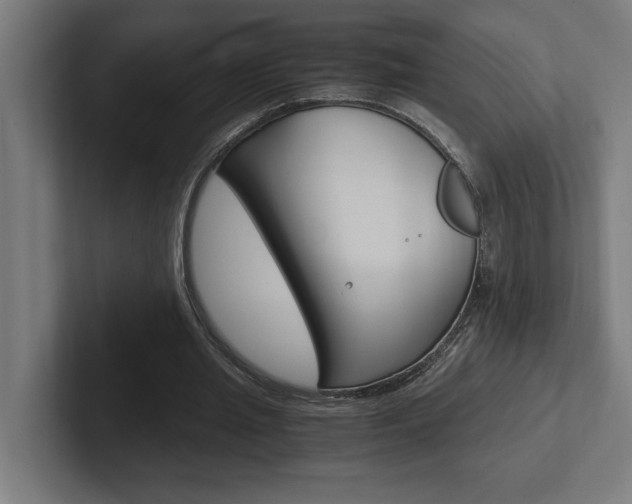X0000102390437200808010938
