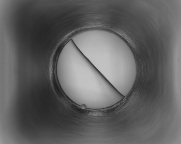 X0000102390440200808010938