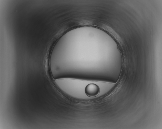 X0000102390441200808010938