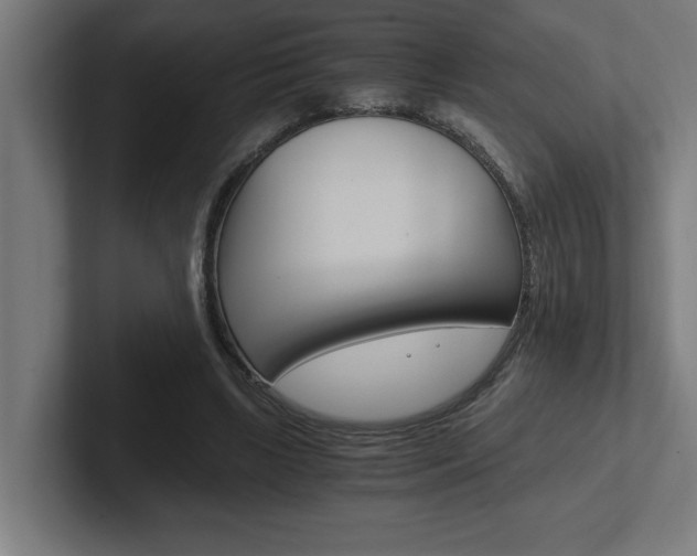 X0000102390443200808010938