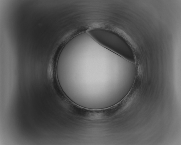 X0000102390444200808010938