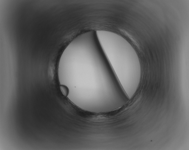 X0000102390451200808010938