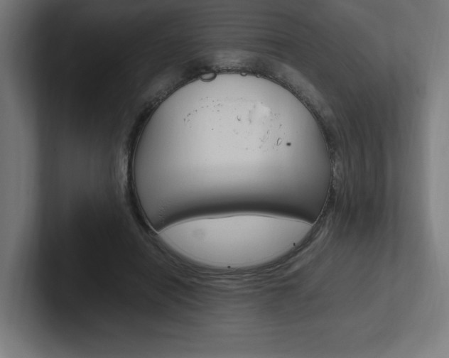 X0000102390454200808010938