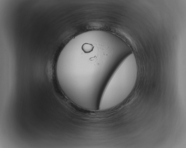 X0000102390455200808010938