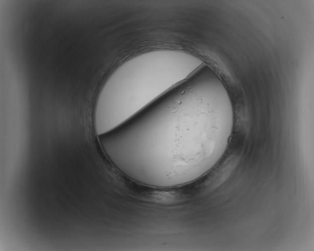 X0000102390457200808010938