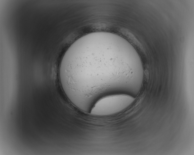 X0000102390458200808010938