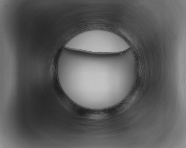 X0000102390459200808010938