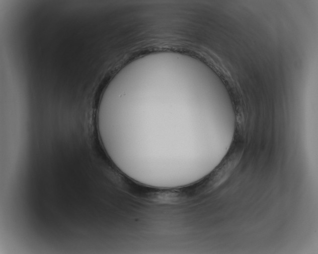 X0000102390462200808010938