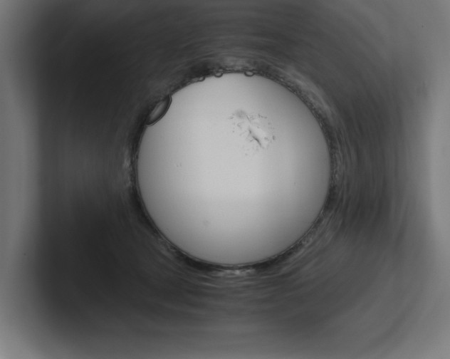 X0000102390465200808010938