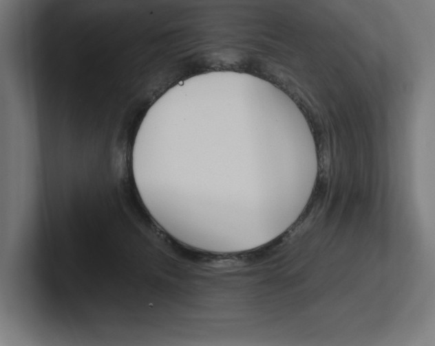 X0000102390468200808010938