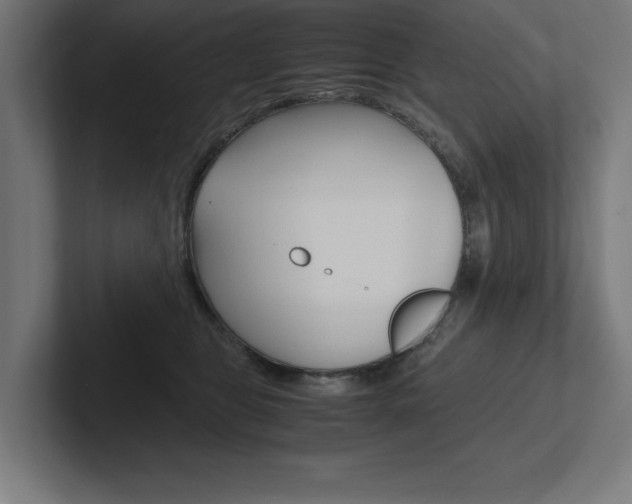X0000102390469200808010938