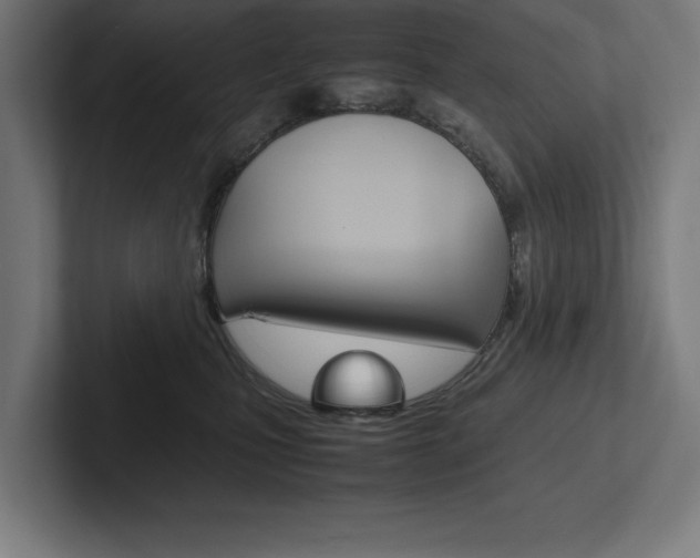 X0000102390471200808010938