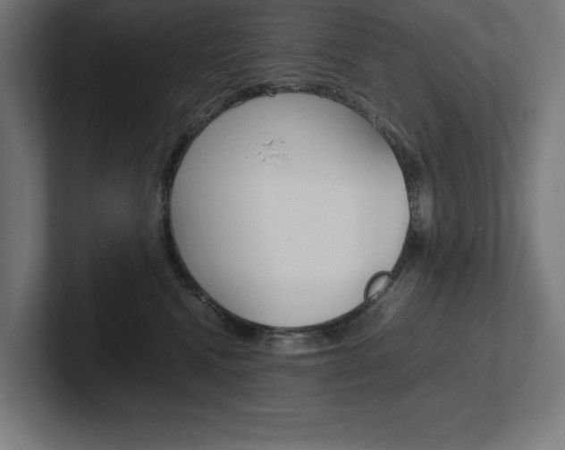 X0000102390472200808010938