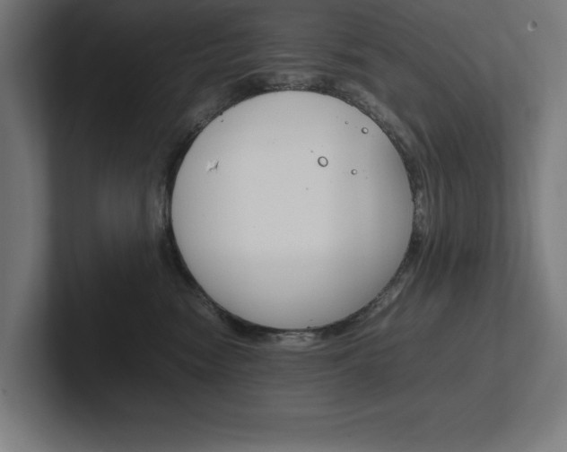 X0000102390474200808010938