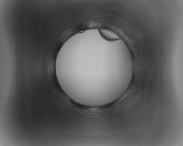 X0000102390475200808010938