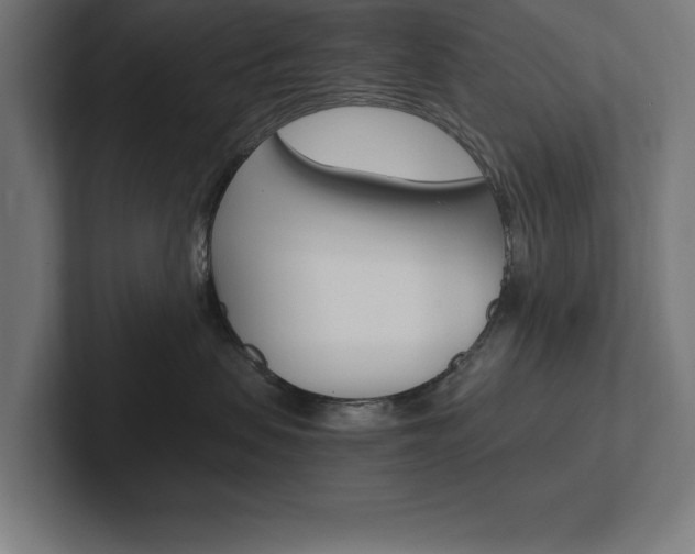 X0000102390479200808010938