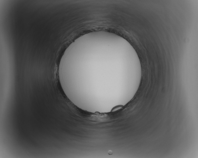 X0000102390480200808010938