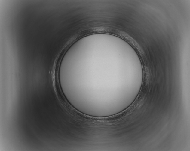 X0000102390482200808010937