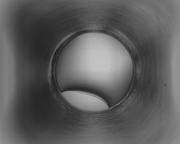 X0000102390484200808010937