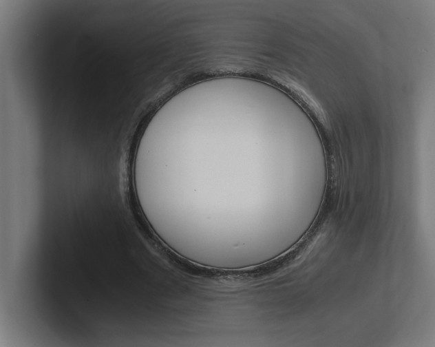 X0000102390489200808010937