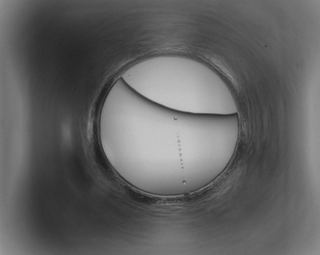 X0000102390491200808010937