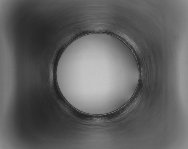 X0000102390493200808010937