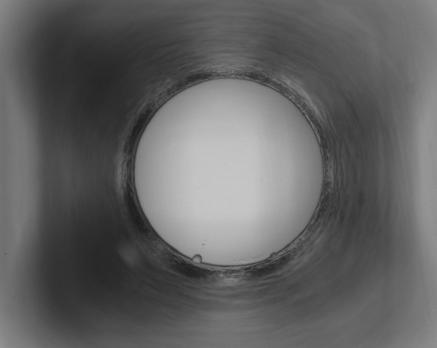 X0000102390495200808010937
