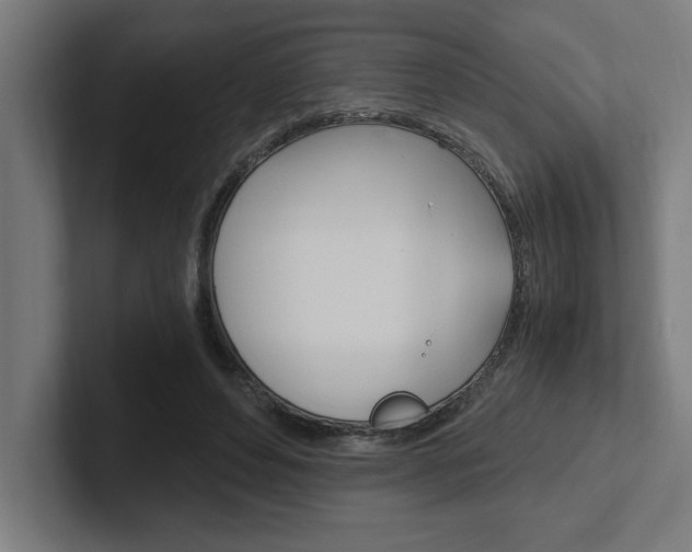 X0000102390496200808010937