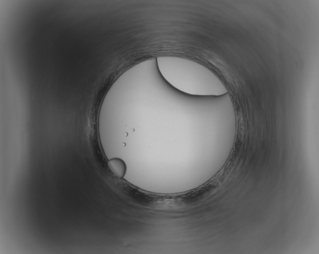 X0000102390499200808010937