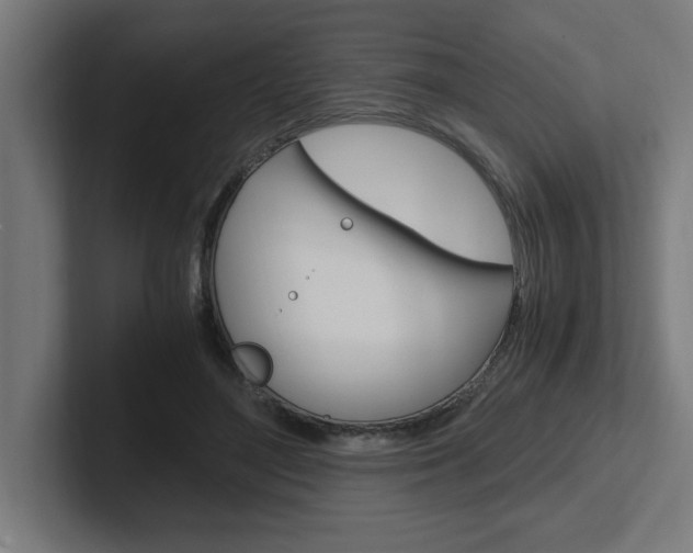 X0000102390500200808010937